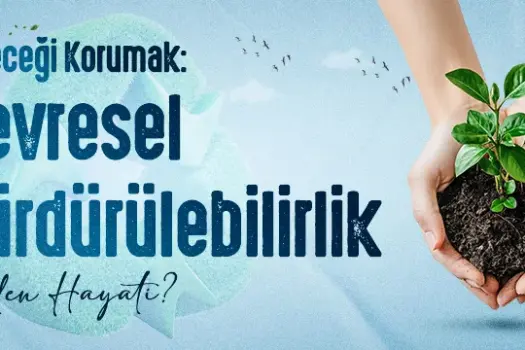Çevresel Sürdürülebilirlik Neden Hayati?
